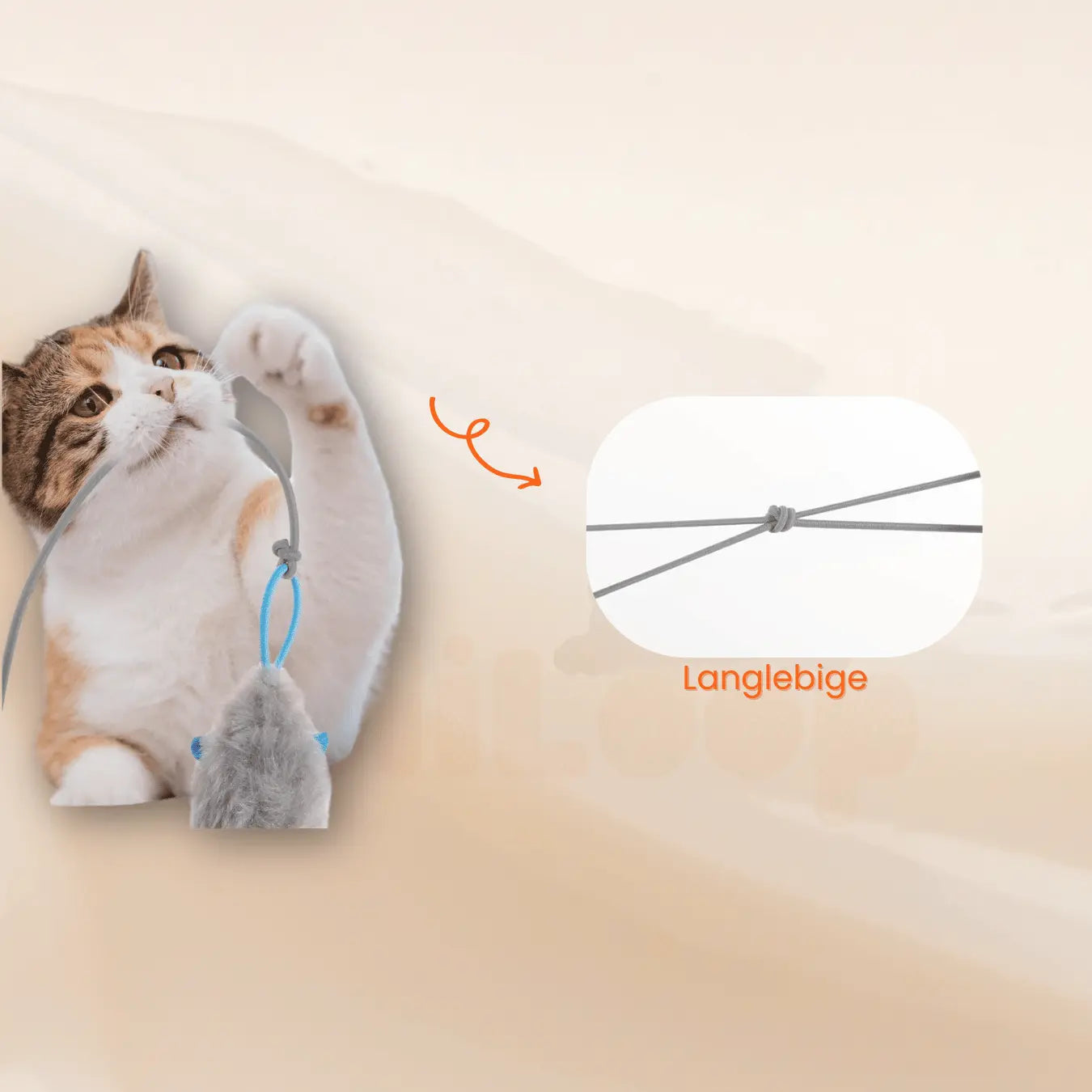 FeliLoop® Interaktives Katzenspielzeug