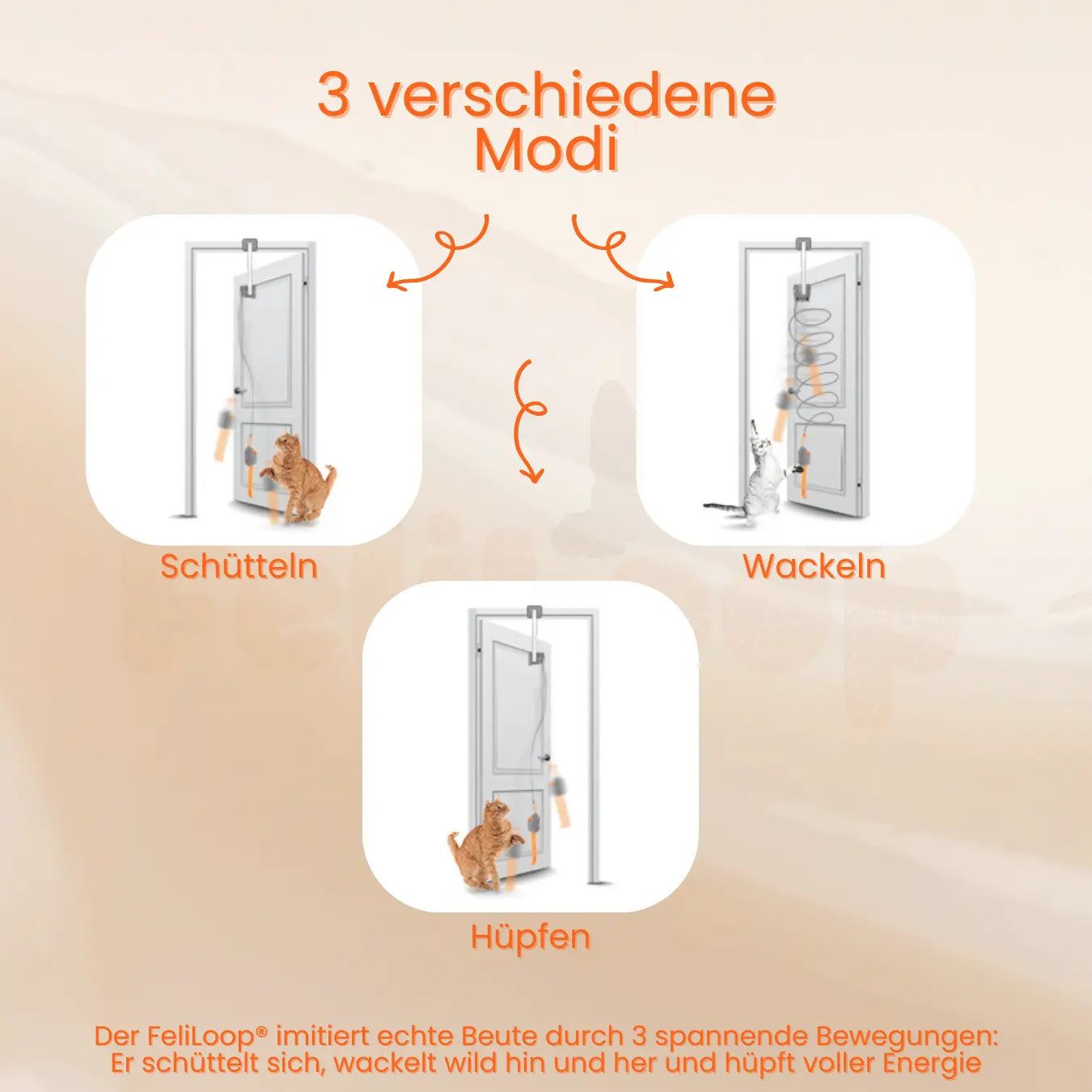 FeliLoop® Interaktives Katzenspielzeug