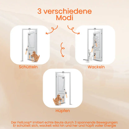 FeliLoop® Interaktives Katzenspielzeug