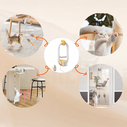 FeliLoop® Interaktives Katzenspielzeug