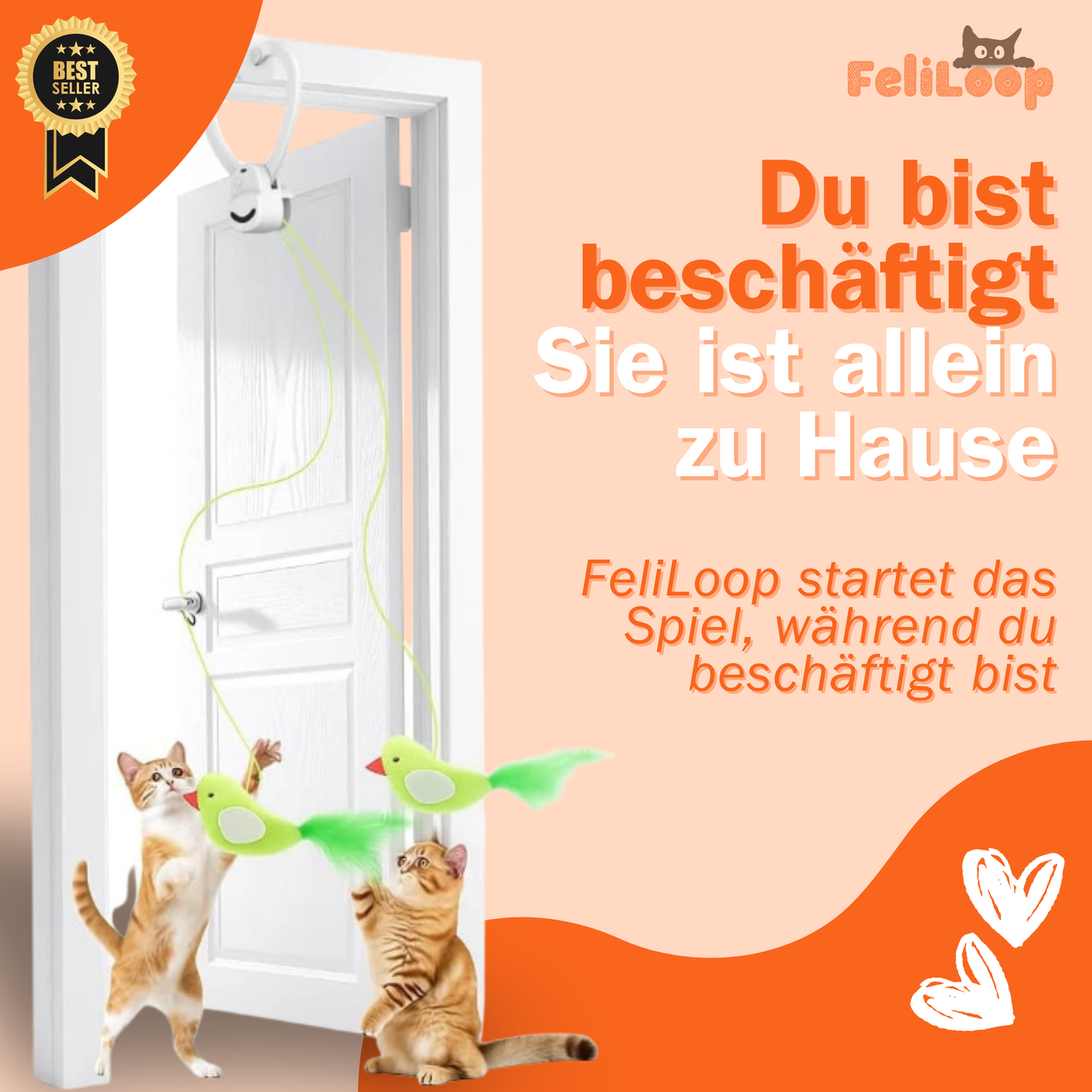 FeliLoop® Interaktives Katzenspielzeug
