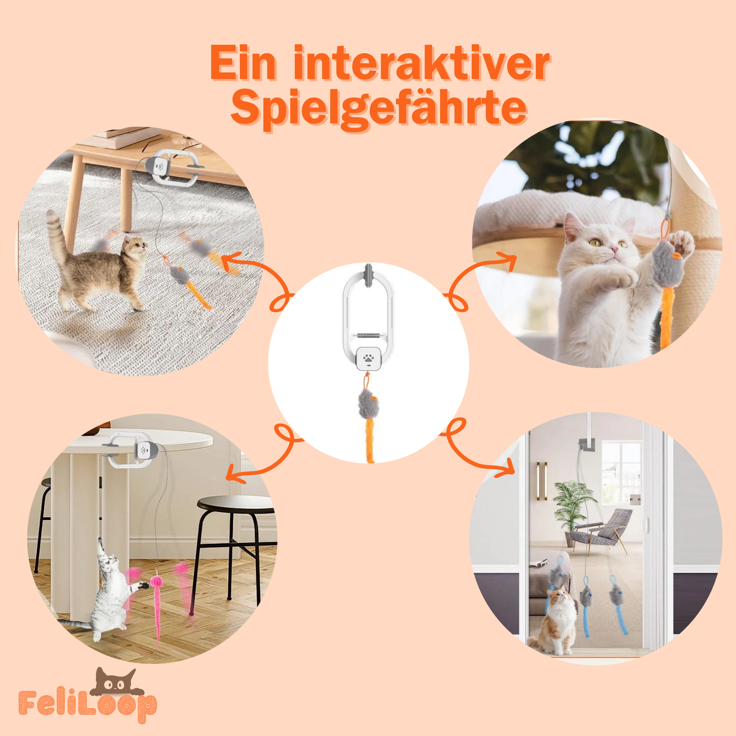 FeliLoop® Interaktives Katzenspielzeug