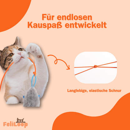 FeliLoop® Interaktives Katzenspielzeug