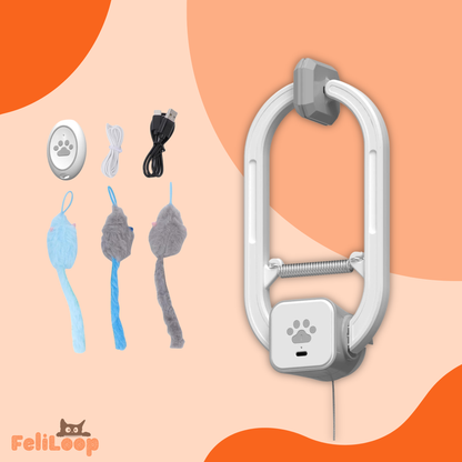 FeliLoop® Interaktives Katzenspielzeug