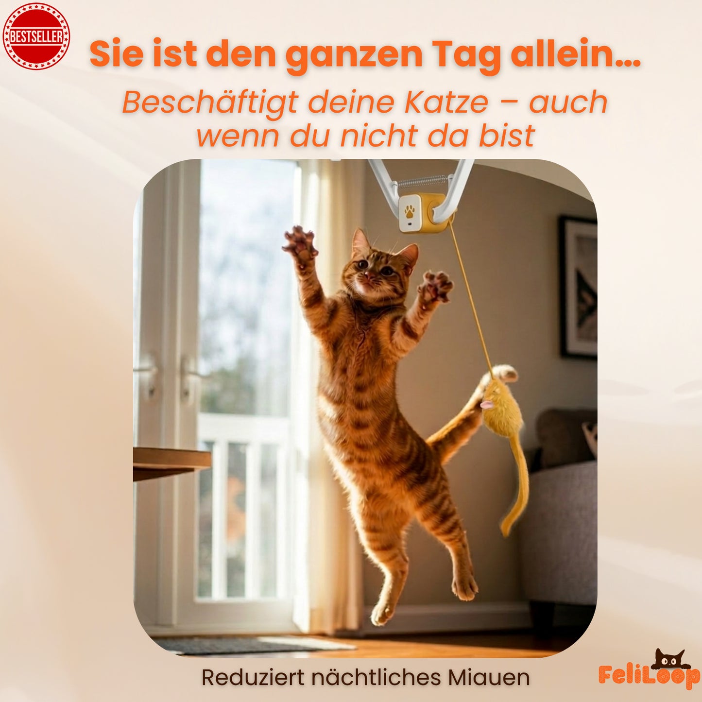 FeliLoop® Interaktives Katzenspielzeug