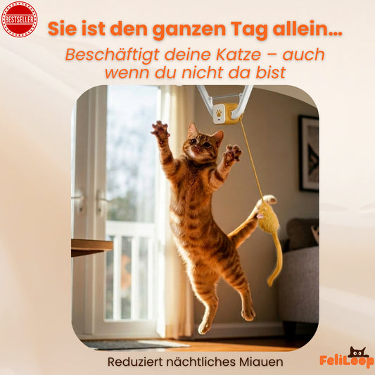 FeliLoop® Interaktives Katzenspielzeug